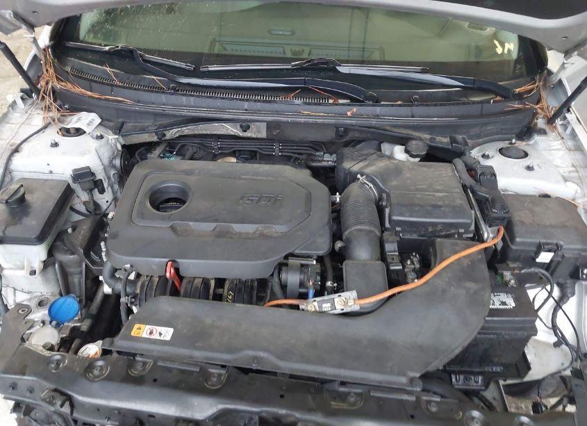 Photo 10 of 2017 Hyundai Sonata (VIN 5NPE24AF1HH541194)