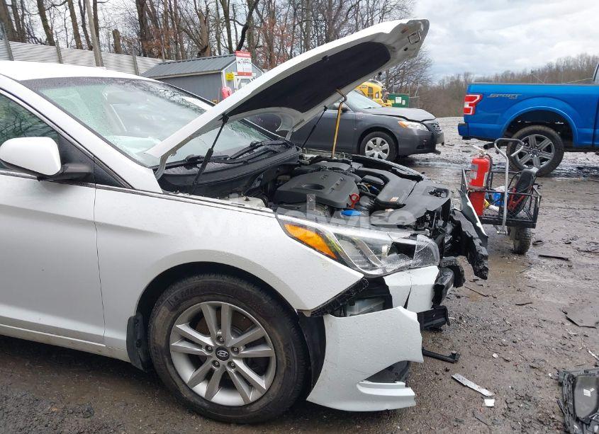 Photo 12 of 2017 Hyundai Sonata (VIN 5NPE24AF1HH569352)