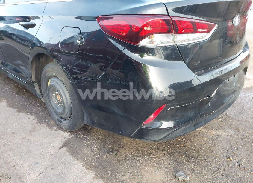 Photo 12 of 2019 Hyundai Sonata SE (VIN 5NPE24AF1KH736414)