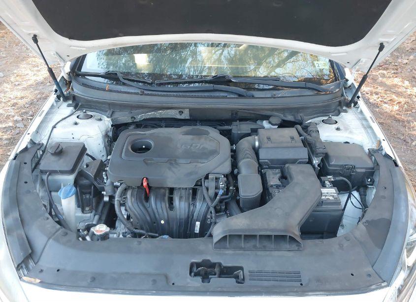 Photo 10 of 2019 Hyundai Sonata SE (VIN 5NPE24AF1KH761930)