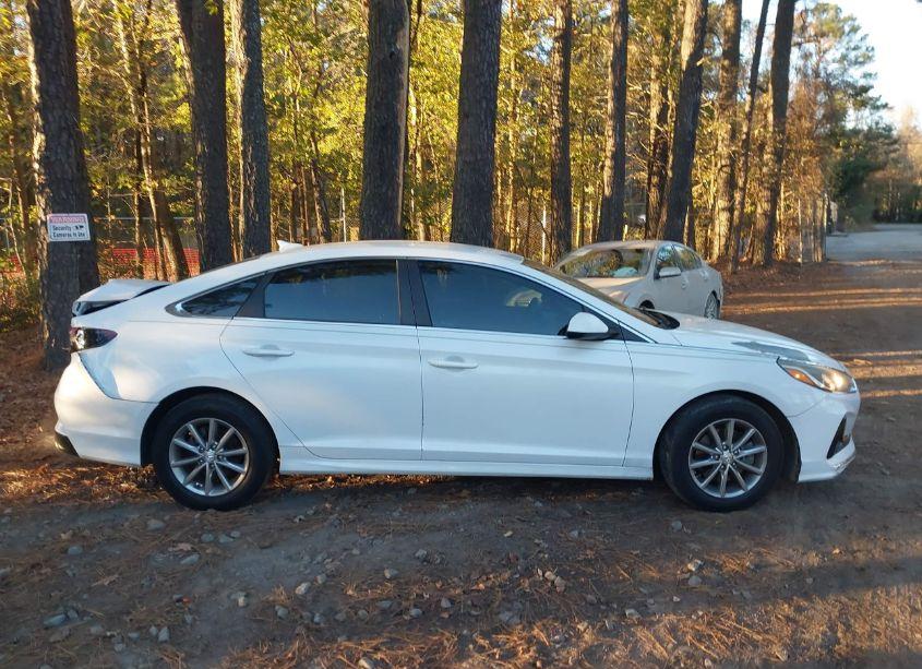 Photo 13 of 2019 Hyundai Sonata SE (VIN 5NPE24AF1KH761930)