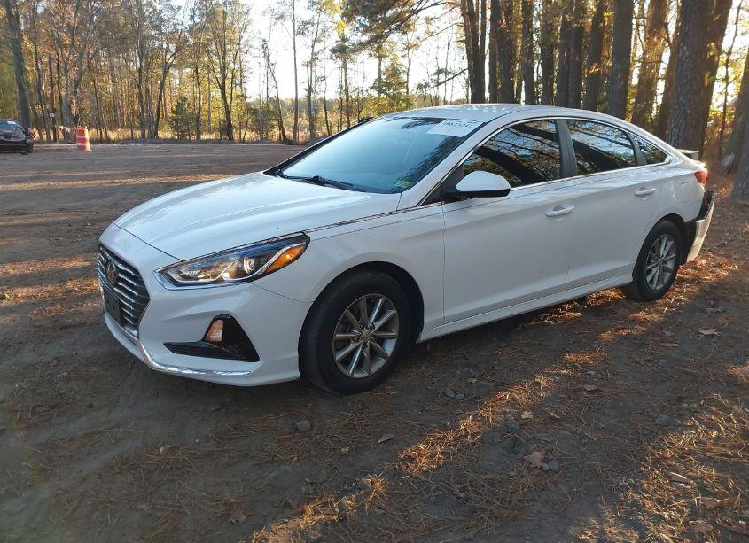 Photo 2 of 2019 Hyundai Sonata SE (VIN 5NPE24AF1KH761930)