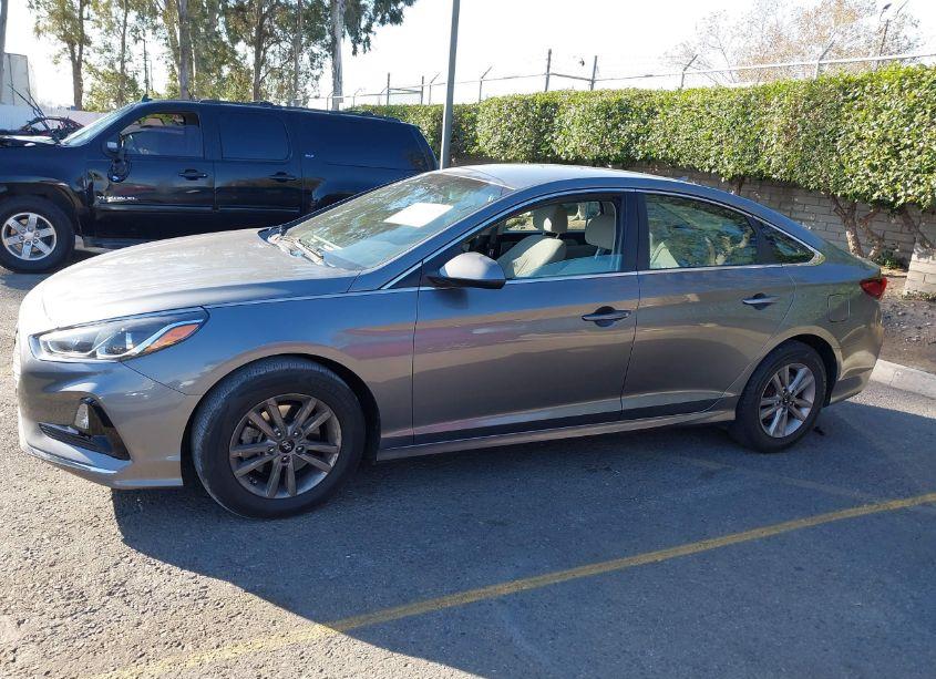 Photo 14 of 2019 Hyundai Sonata SE (VIN 5NPE24AF1KH769591)