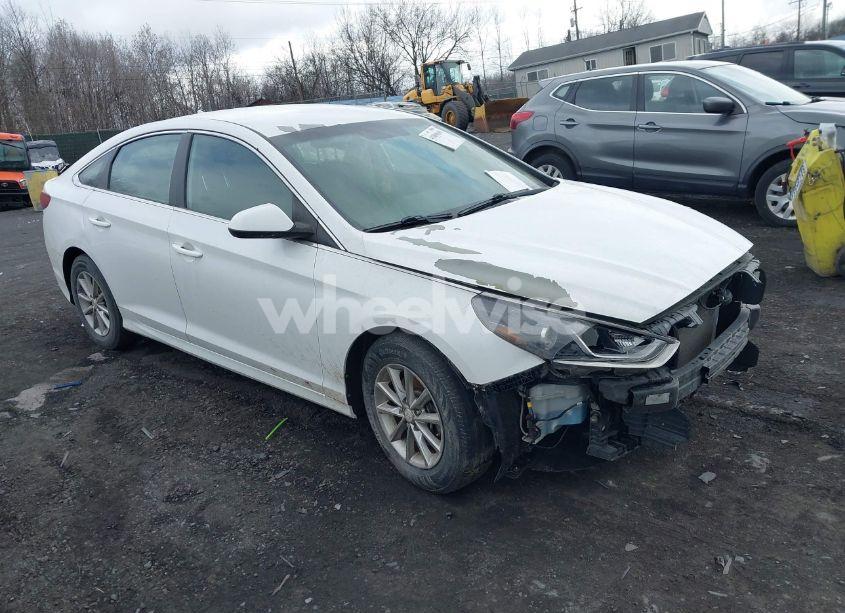 2019 Hyundai Sonata SE (VIN 5NPE24AF1KH771065) main photo