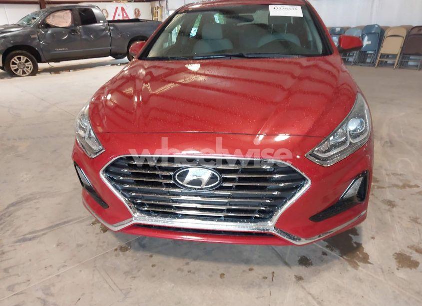 Photo 11 of 2019 Hyundai Sonata SE (VIN 5NPE24AF1KH780378)