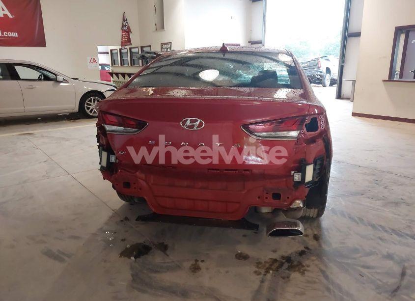 Photo 15 of 2019 Hyundai Sonata SE (VIN 5NPE24AF1KH780378)