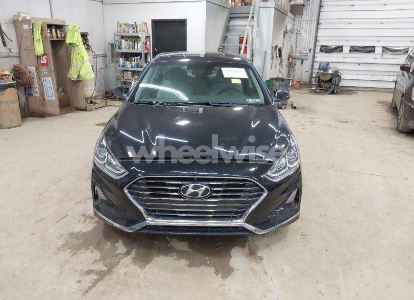 Photo 12 of 2019 Hyundai Sonata SE (VIN 5NPE24AF1KH785659)