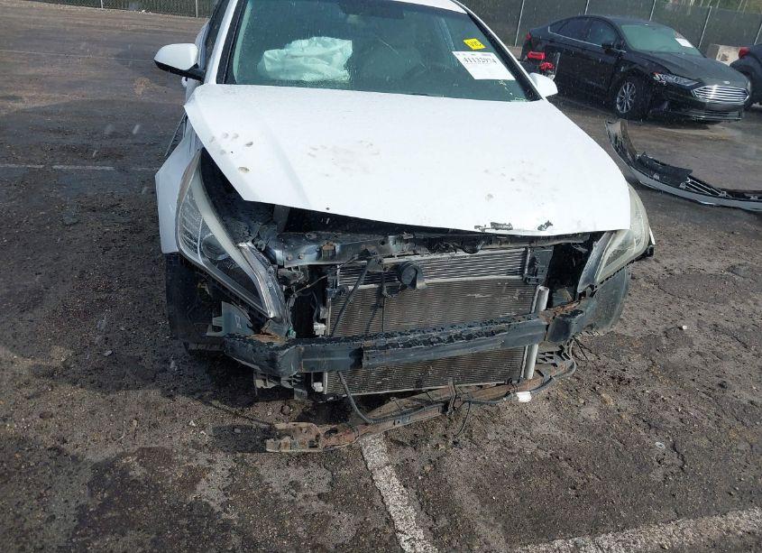 Photo 13 of 2016 Hyundai Sonata SE (VIN 5NPE24AF2GH310710)