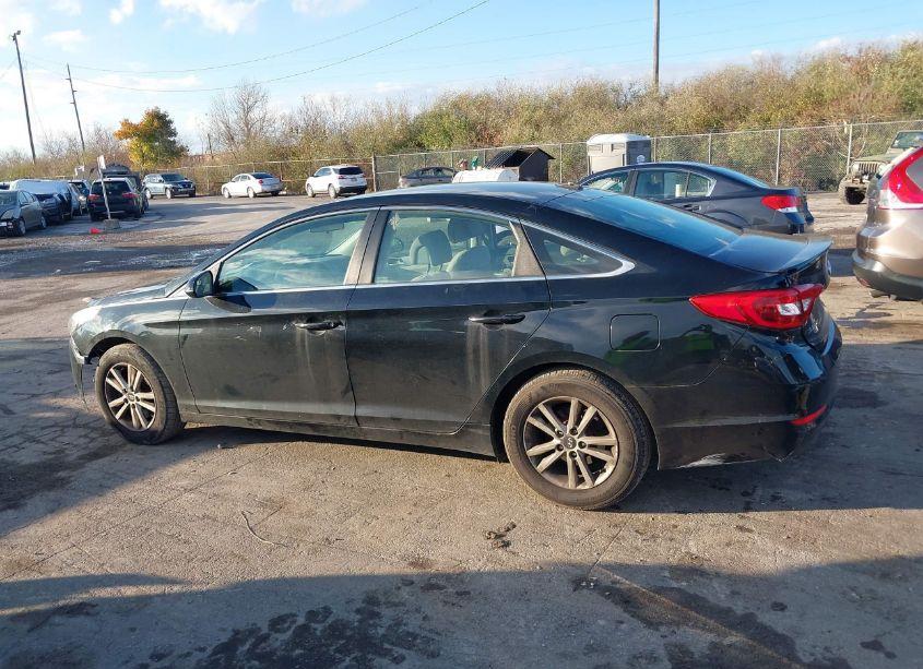 Photo 14 of 2016 Hyundai Sonata (VIN 5NPE24AF2GH411018)