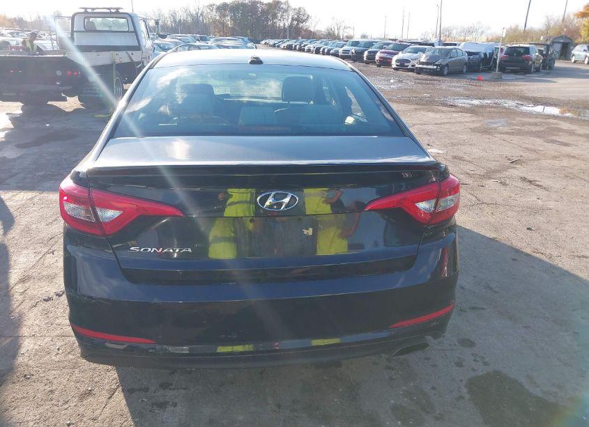 Photo 16 of 2016 Hyundai Sonata (VIN 5NPE24AF2GH411018)