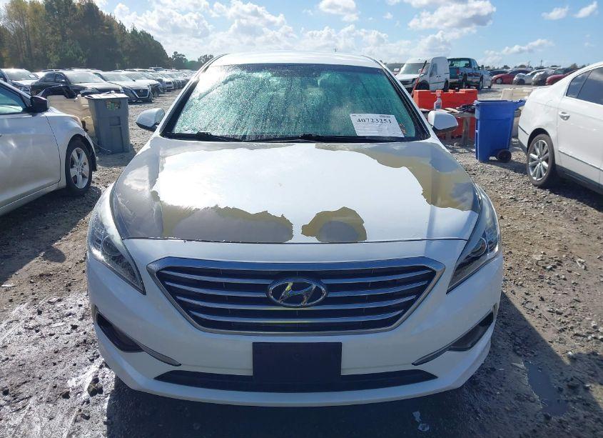 Photo 12 of 2016 Hyundai Sonata SE (VIN 5NPE24AF2GH428580)