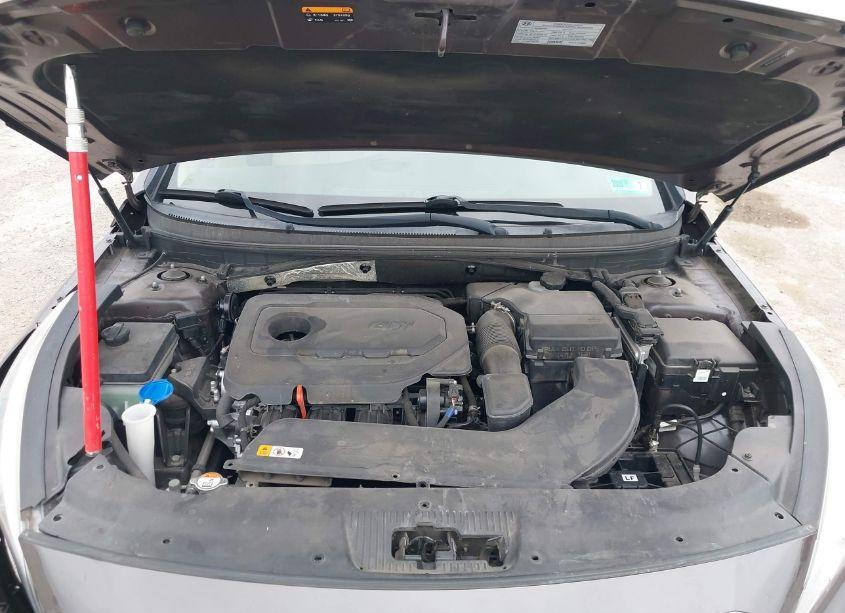 Photo 10 of 2017 Hyundai Sonata (VIN 5NPE24AF2HH595054)