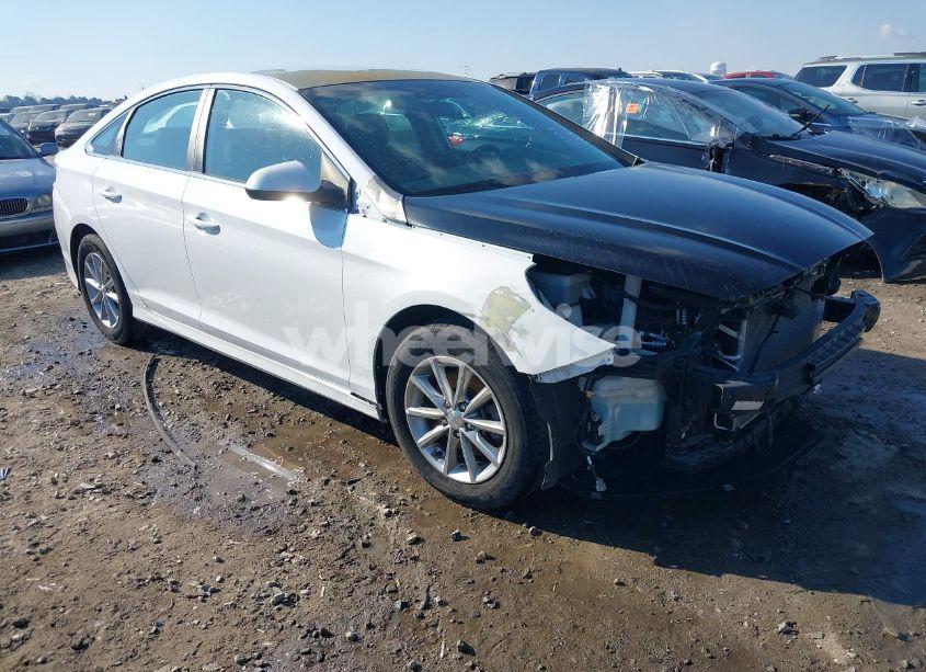 2018 Hyundai Sonata SE (VIN 5NPE24AF2JH614773) main photo