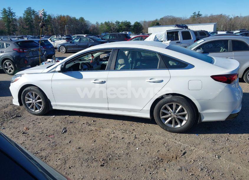 Photo 15 of 2019 Hyundai Sonata SE (VIN 5NPE24AF2KH739354)