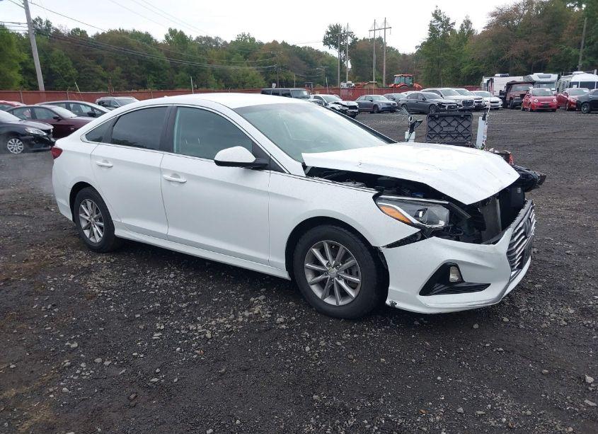 2019 Hyundai Sonata SE (VIN 5NPE24AF2KH743761) main photo