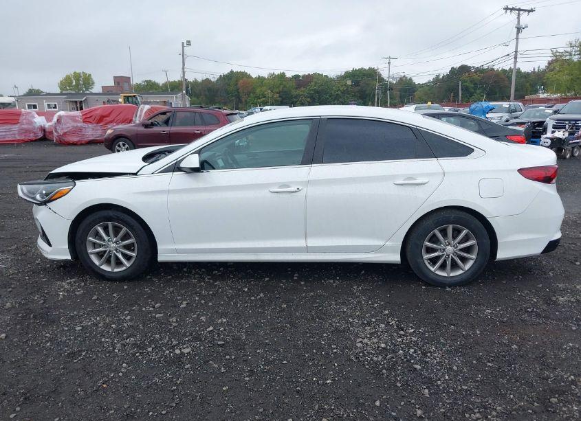 Photo 14 of 2019 Hyundai Sonata SE (VIN 5NPE24AF2KH743761)