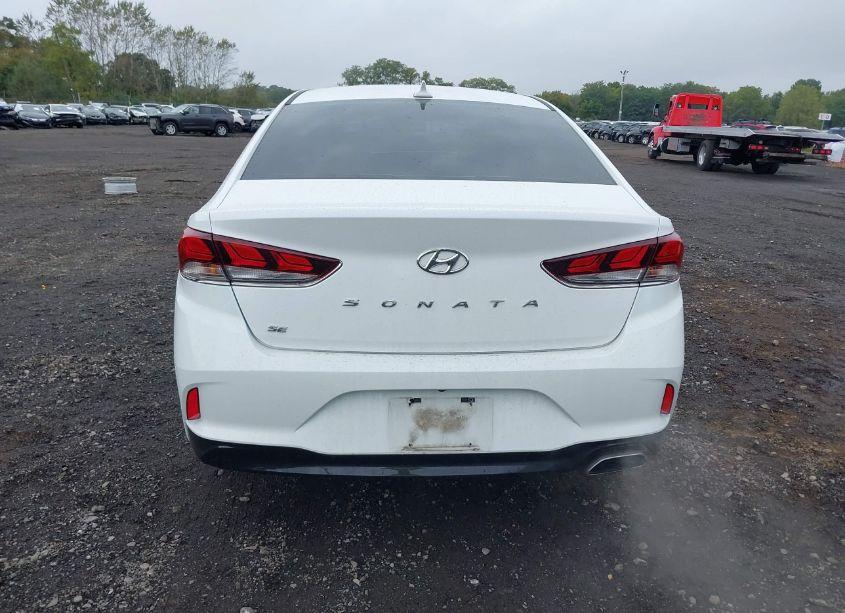 Photo 16 of 2019 Hyundai Sonata SE (VIN 5NPE24AF2KH743761)