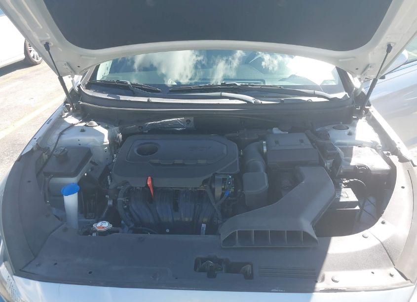Photo 10 of 2019 Hyundai Sonata SE (VIN 5NPE24AF2KH796797)