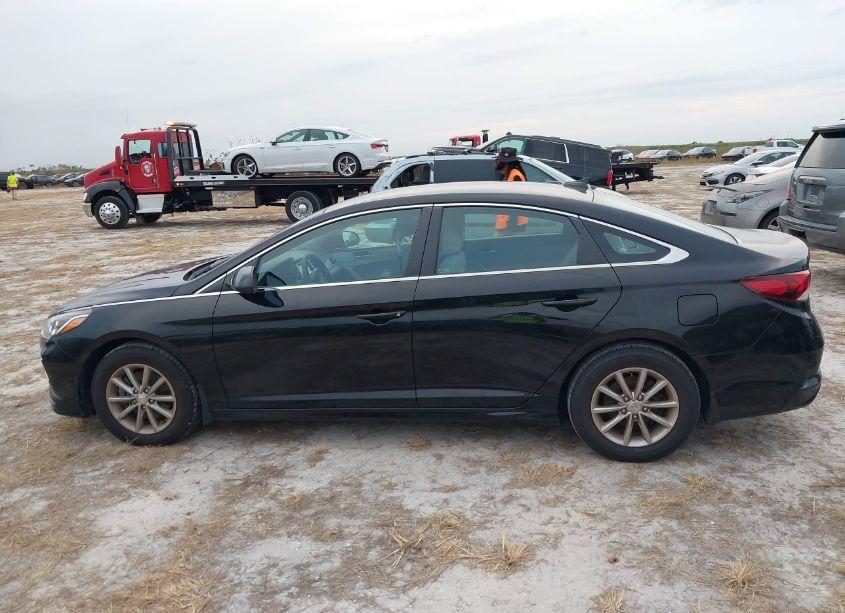Photo 14 of 2019 Hyundai Sonata SE (VIN 5NPE24AF2KH813839)