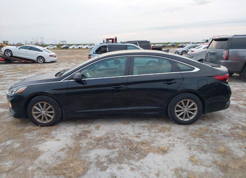 Photo 6 of 2019 Hyundai Sonata SE (VIN 5NPE24AF2KH813839)