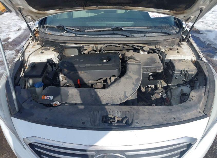 Photo 10 of 2016 Hyundai Sonata SE (VIN 5NPE24AF3GH288359)