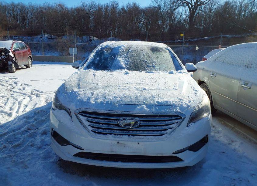 Photo 12 of 2016 Hyundai Sonata SE (VIN 5NPE24AF3GH319982)