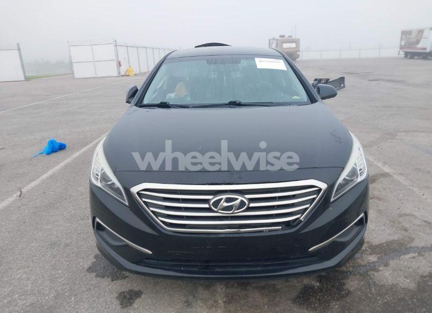 Photo 12 of 2016 Hyundai Sonata SE (VIN 5NPE24AF3GH338189)