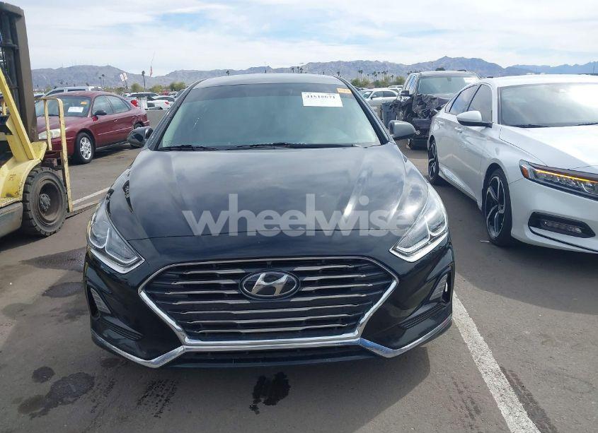 Photo 13 of 2019 Hyundai Sonata SE (VIN 5NPE24AF3KH765235)