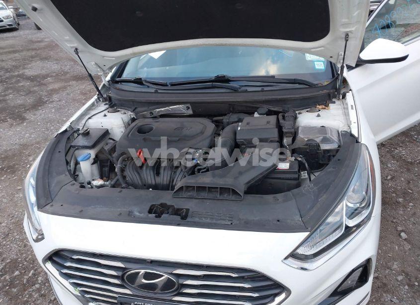 Photo 10 of 2019 Hyundai Sonata SE (VIN 5NPE24AF3KH797697)