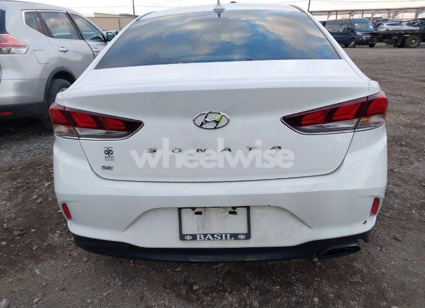 Photo 16 of 2019 Hyundai Sonata SE (VIN 5NPE24AF3KH797697)