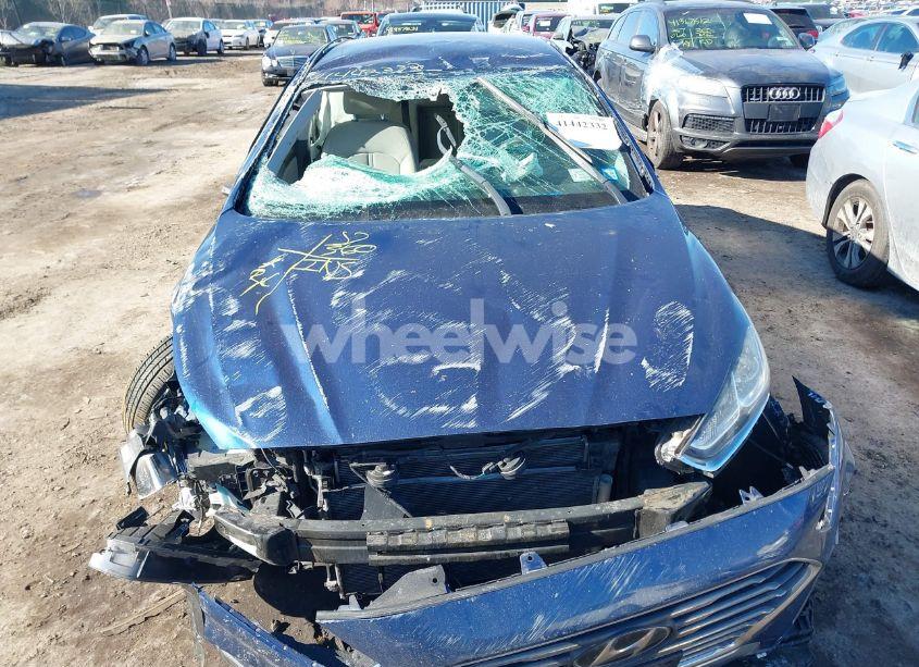 Photo 12 of 2019 Hyundai Sonata SE (VIN 5NPE24AF3KH801182)