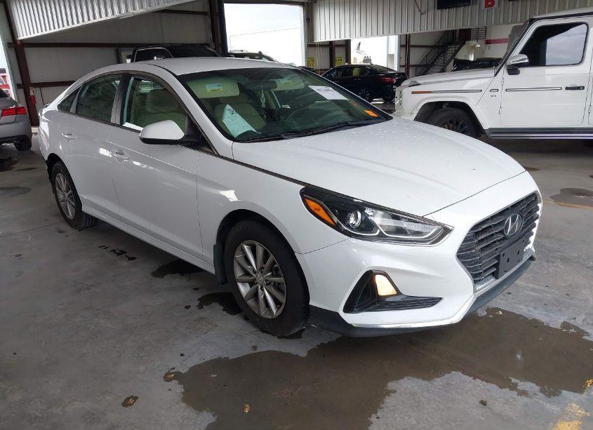 2019 Hyundai Sonata SE (VIN 5NPE24AF3KH811856) main photo