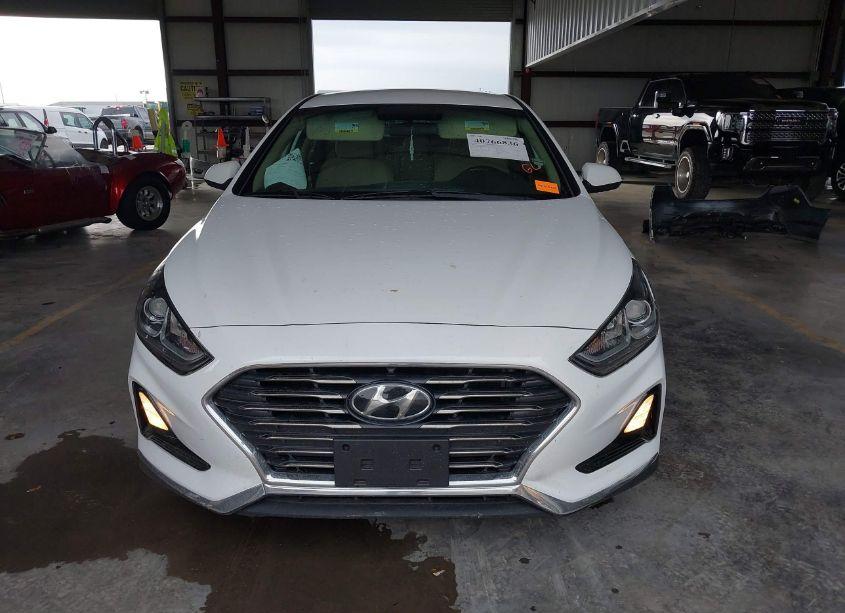 Photo 13 of 2019 Hyundai Sonata SE (VIN 5NPE24AF3KH811856)