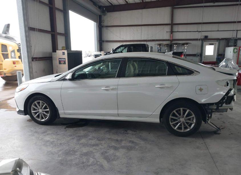 Photo 15 of 2019 Hyundai Sonata SE (VIN 5NPE24AF3KH811856)
