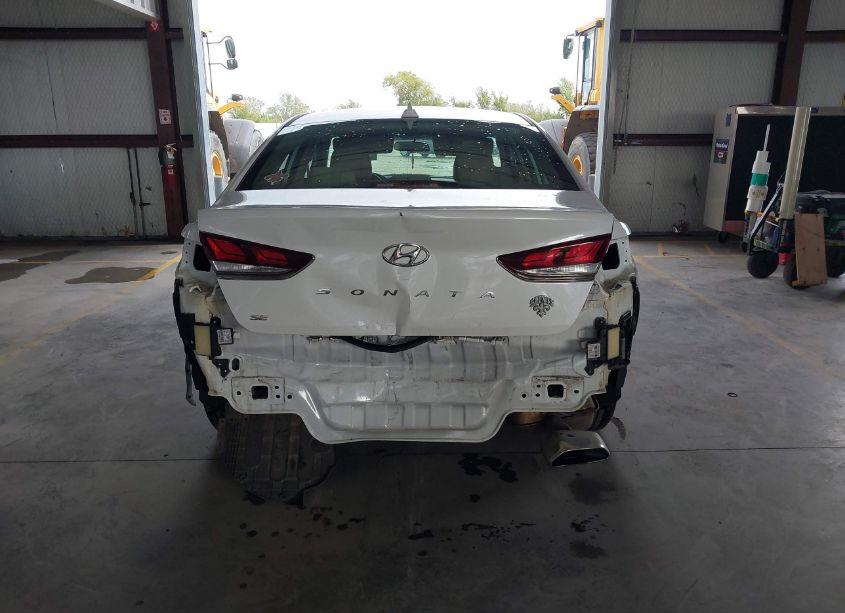 Photo 17 of 2019 Hyundai Sonata SE (VIN 5NPE24AF3KH811856)