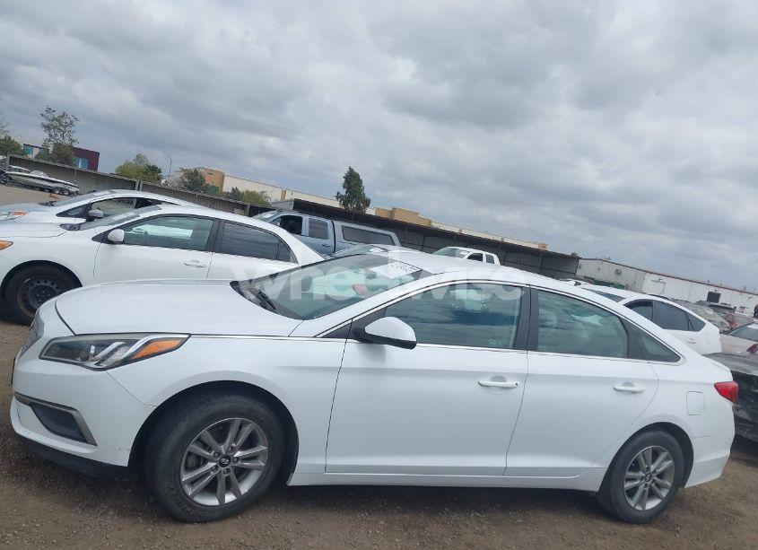 Photo 14 of 2016 Hyundai Sonata SE (VIN 5NPE24AF4GH261493)