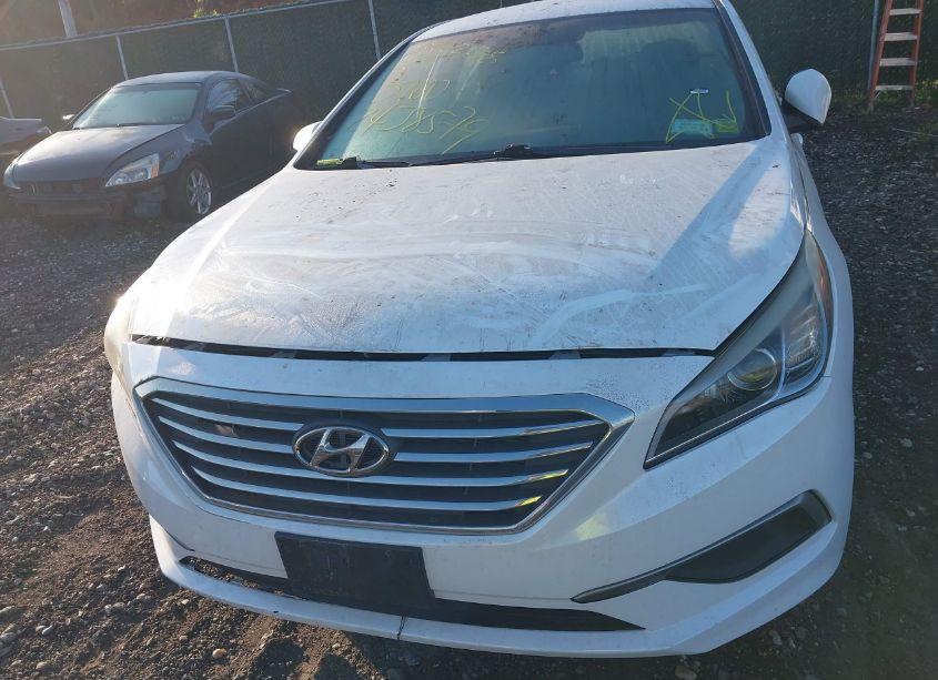 Photo 11 of 2016 Hyundai Sonata SE (VIN 5NPE24AF4GH264961)