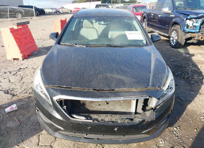 Photo 12 of 2016 Hyundai Sonata SE (VIN 5NPE24AF4GH315360)