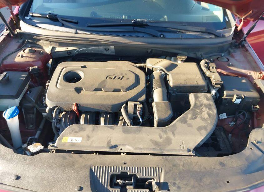 Photo 10 of 2016 Hyundai Sonata (VIN 5NPE24AF4GH392097)