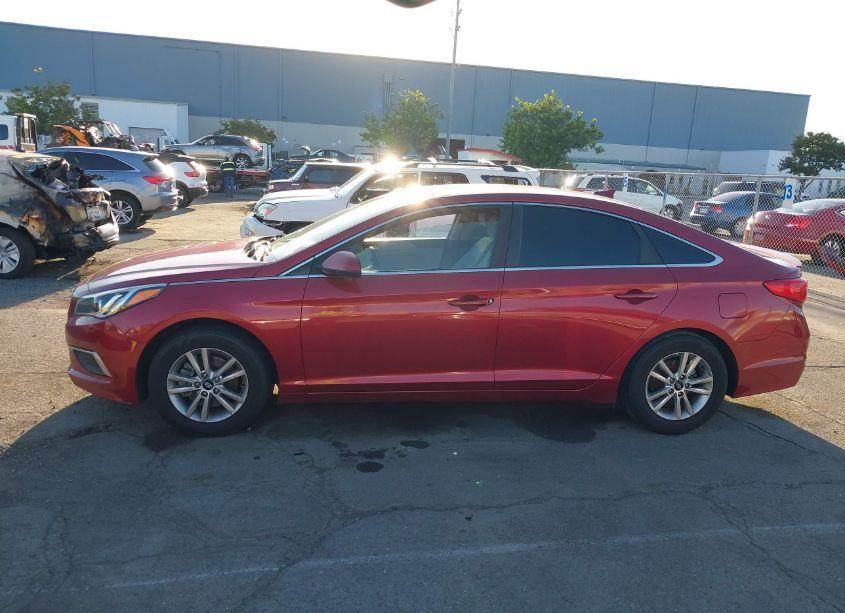 Photo 13 of 2016 Hyundai Sonata (VIN 5NPE24AF4GH392097)