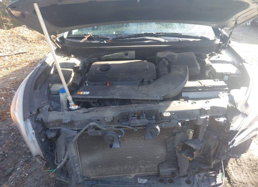 Photo 10 of 2016 Hyundai Sonata (VIN 5NPE24AF4GH393783)