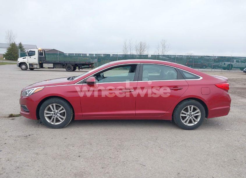 Photo 14 of 2016 Hyundai Sonata N/A (VIN 5NPE24AF4GH417807)