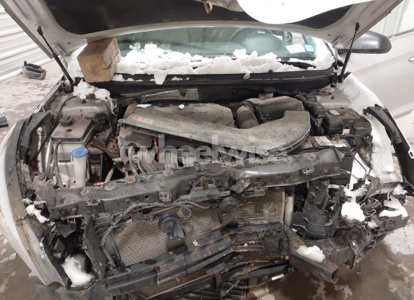 Photo 10 of 2017 Hyundai Sonata (VIN 5NPE24AF4HH491939)