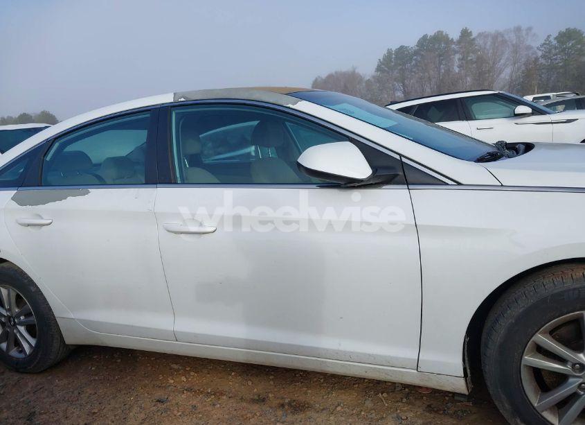 Photo 13 of 2017 Hyundai Sonata (VIN 5NPE24AF4HH561102)