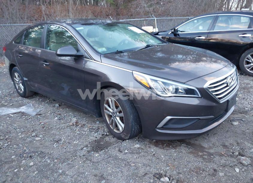 2017 Hyundai Sonata SE (VIN 5NPE24AF4HH563559) main photo