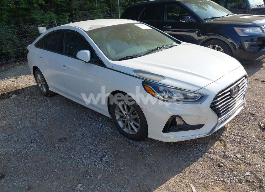 2019 Hyundai Sonata SE (VIN 5NPE24AF4KH775708) main photo