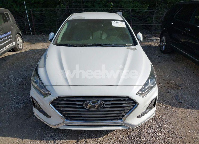 Photo 12 of 2019 Hyundai Sonata SE (VIN 5NPE24AF4KH775708)