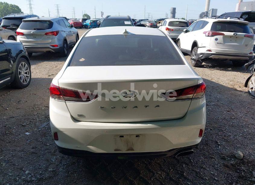 Photo 16 of 2019 Hyundai Sonata SE (VIN 5NPE24AF4KH775708)