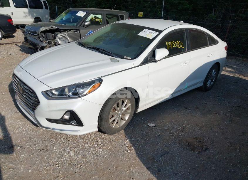 Photo 2 of 2019 Hyundai Sonata SE (VIN 5NPE24AF4KH775708)