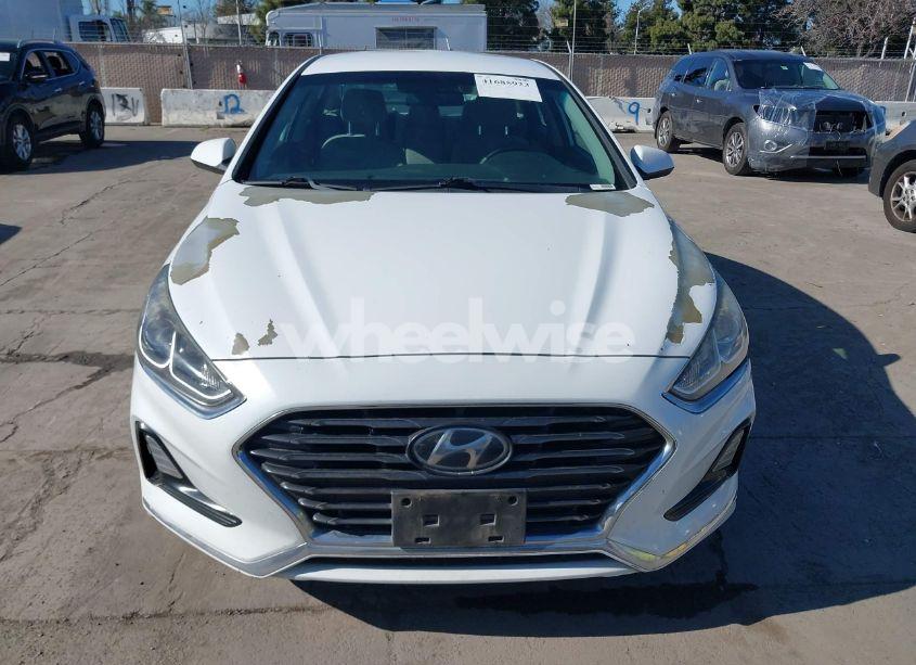 Photo 12 of 2019 Hyundai Sonata SE (VIN 5NPE24AF4KH777071)